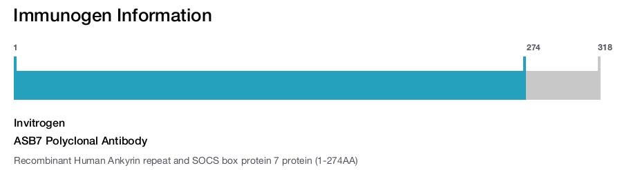 ASB7 Polyclonal Antibody