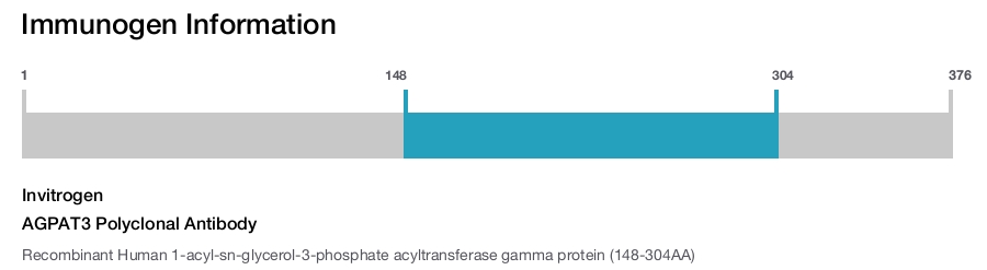 AGPAT3 Polyclonal Antibody