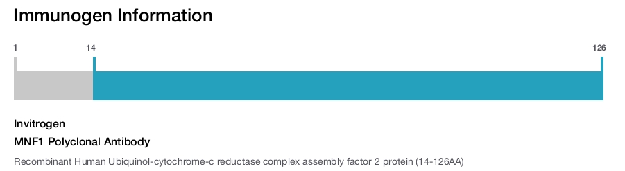 MNF1 Polyclonal Antibody