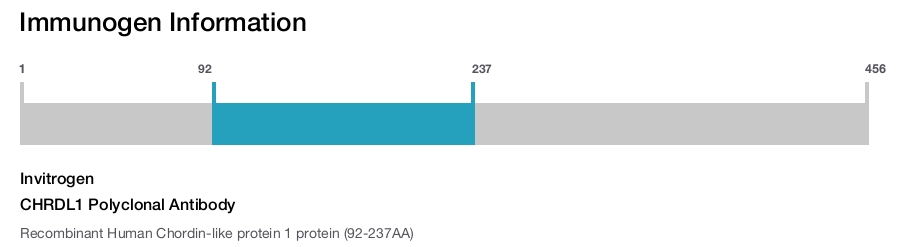 CHRDL1 Polyclonal Antibody