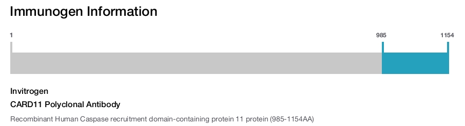 CARD11 Polyclonal Antibody