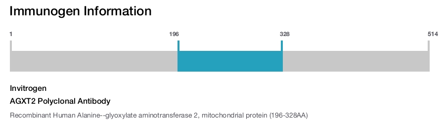 AGXT2 Polyclonal Antibody