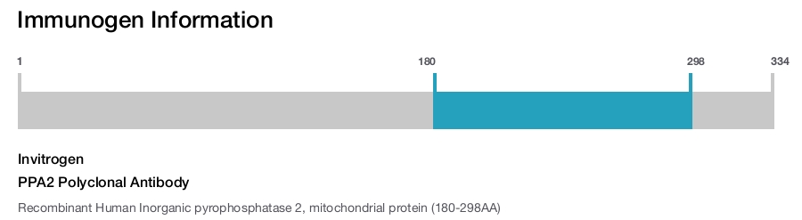PPA2 Polyclonal Antibody