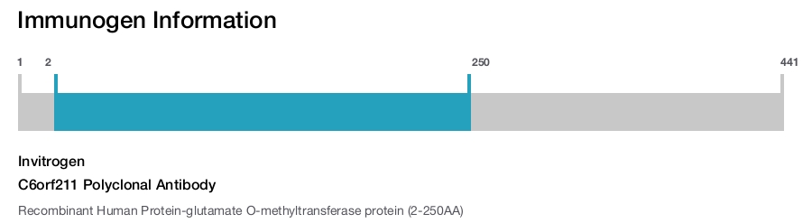 C6orf211 Polyclonal Antibody