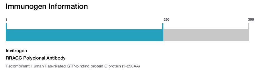 RRAGC Polyclonal Antibody