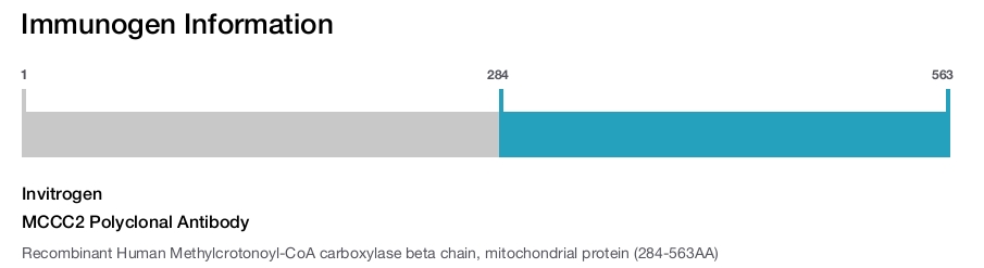 MCCC2 Polyclonal Antibody