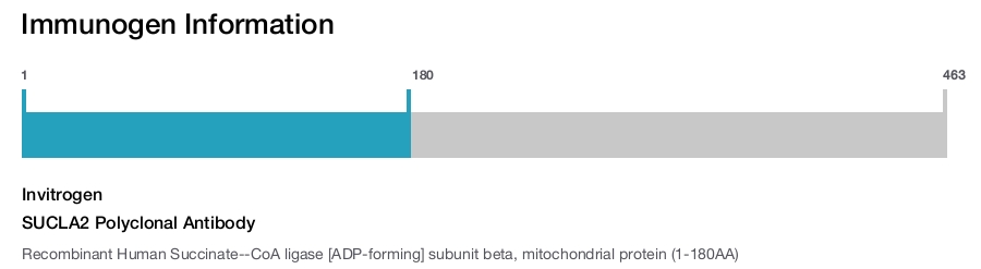 SUCLA2 Polyclonal Antibody