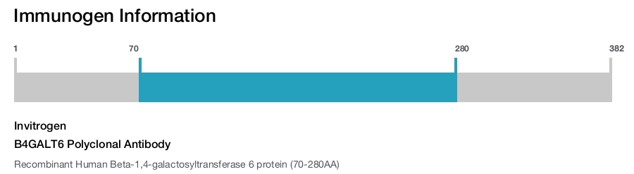 B4GALT6 Polyclonal Antibody
