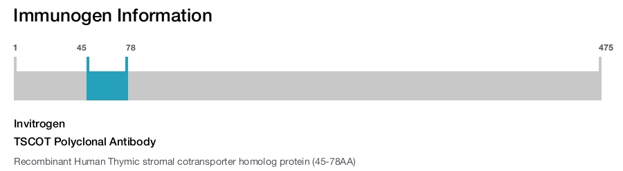 TSCOT Polyclonal Antibody