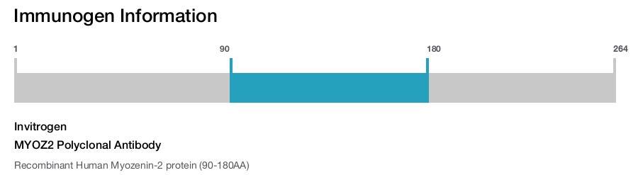 MYOZ2 Polyclonal Antibody