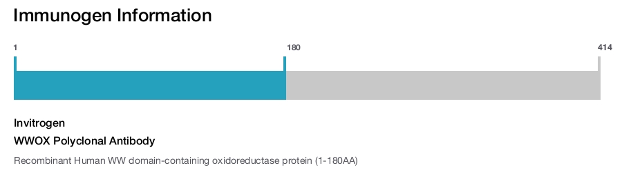 WWOX Polyclonal Antibody