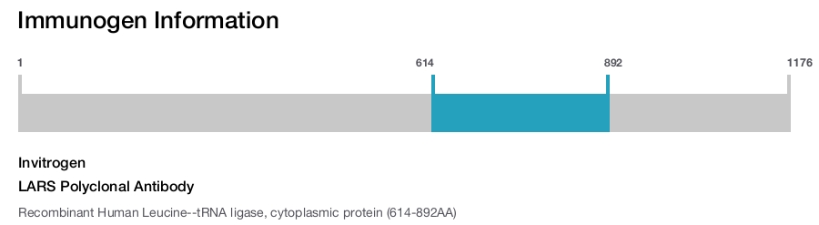 LARS Polyclonal Antibody