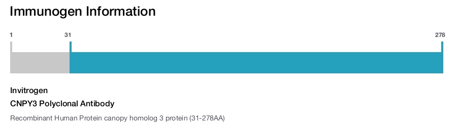 CNPY3 Polyclonal Antibody