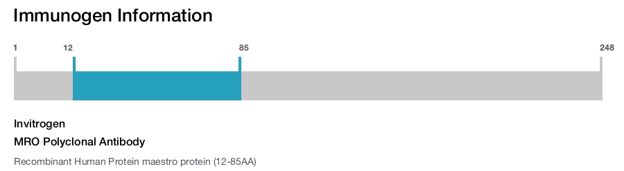 MRO Polyclonal Antibody