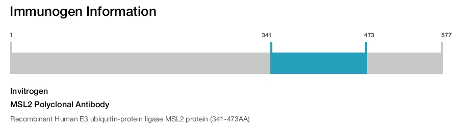 MSL2 Polyclonal Antibody