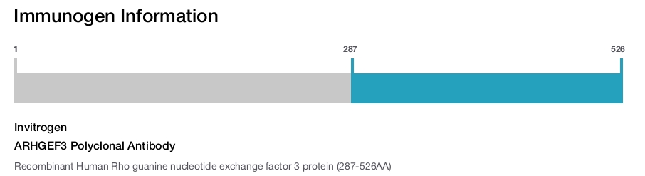 ARHGEF3 Polyclonal Antibody
