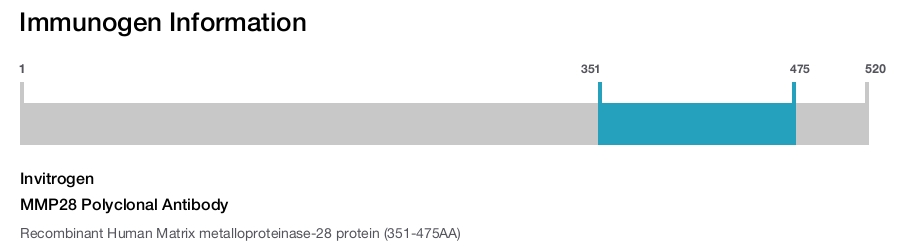 MMP28 Polyclonal Antibody