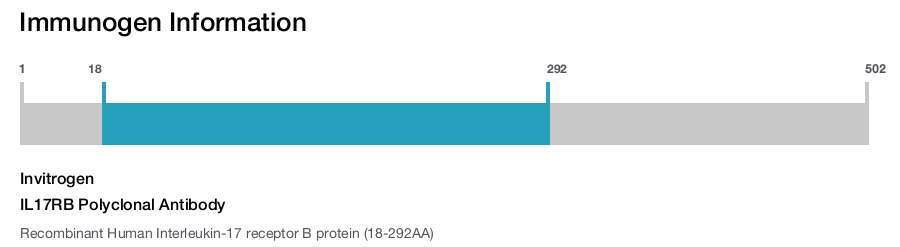 IL17RB Polyclonal Antibody