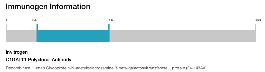 C1GALT1 Polyclonal Antibody