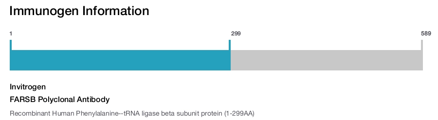 FARSB Polyclonal Antibody
