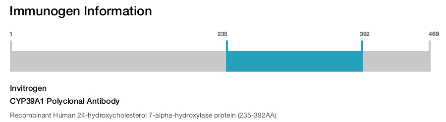 CYP39A1 Polyclonal Antibody