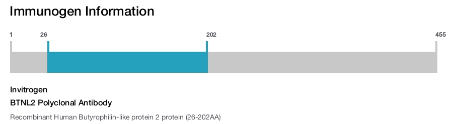 BTNL2 Polyclonal Antibody