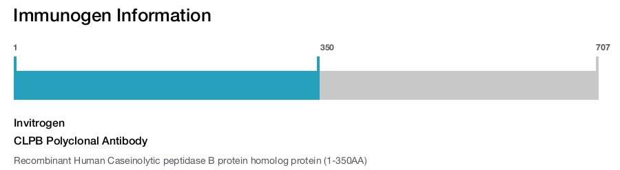 CLPB Polyclonal Antibody
