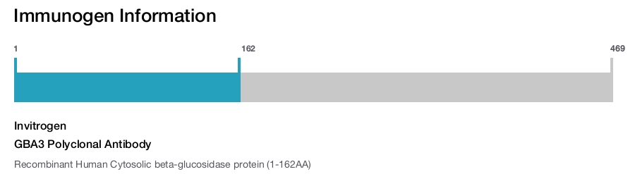 GBA3 Polyclonal Antibody