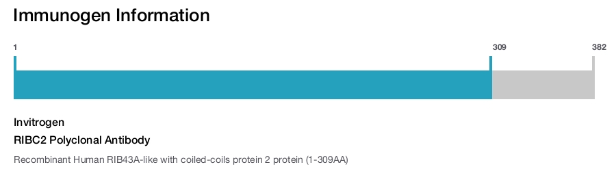RIBC2 Polyclonal Antibody
