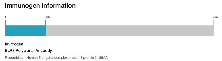 ELP3 Polyclonal Antibody