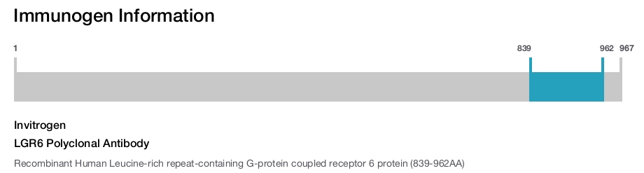 LGR6 Polyclonal Antibody