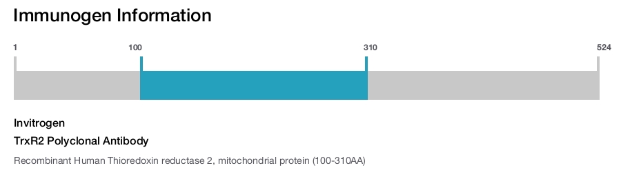 TrxR2 Polyclonal Antibody