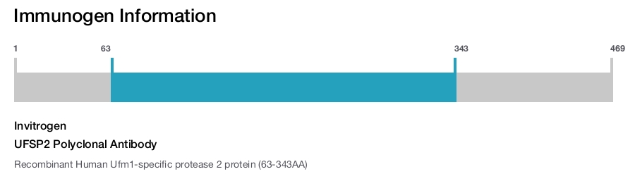 UFSP2 Polyclonal Antibody