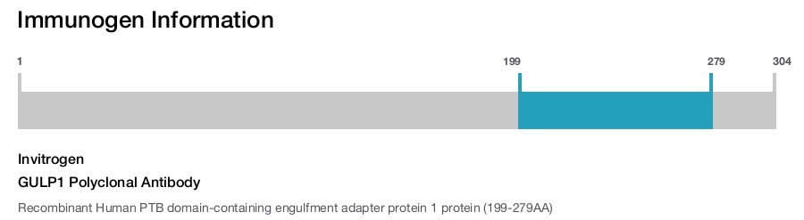 GULP1 Polyclonal Antibody