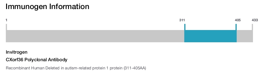 CXorf36 Polyclonal Antibody