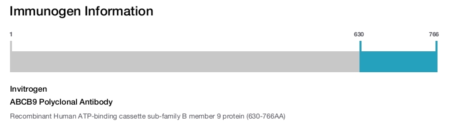 ABCB9 Polyclonal Antibody