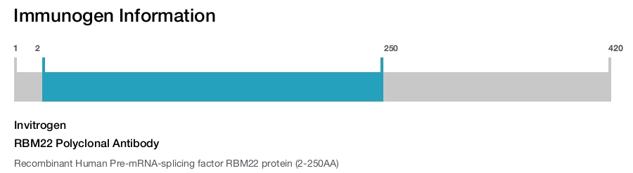 RBM22 Polyclonal Antibody