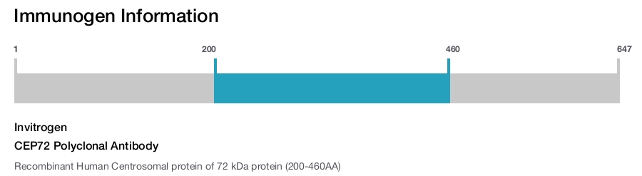 CEP72 Polyclonal Antibody