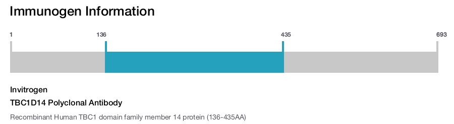 TBC1D14 Polyclonal Antibody