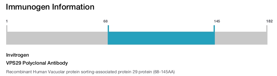 VPS29 Polyclonal Antibody