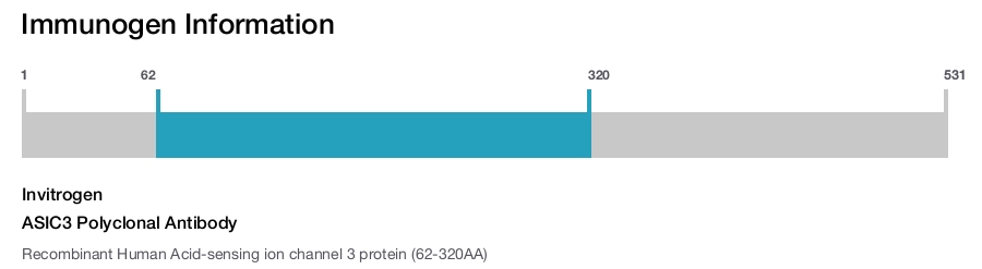 ASIC3 Polyclonal Antibody