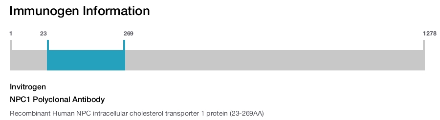 NPC1 Polyclonal Antibody