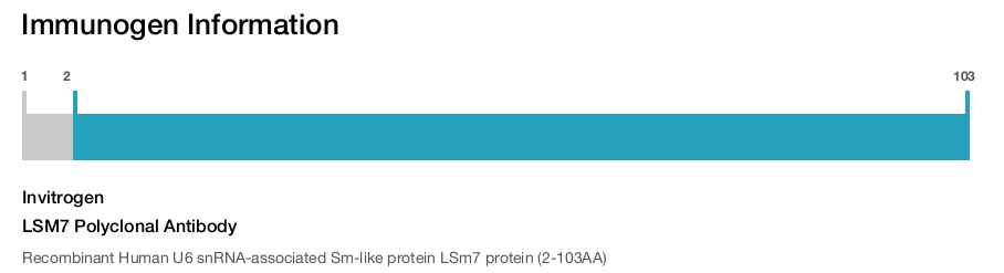 LSM7 Polyclonal Antibody