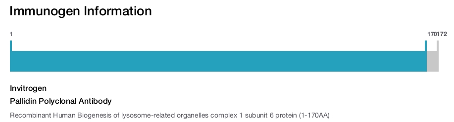 Pallidin Polyclonal Antibody