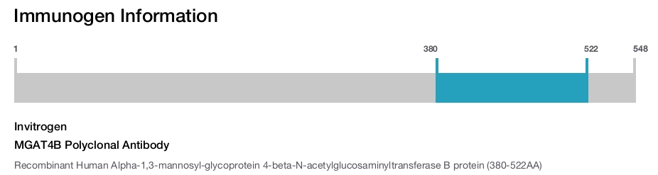 MGAT4B Polyclonal Antibody