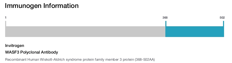 WASF3 Polyclonal Antibody