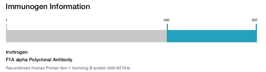 F1A alpha Polyclonal Antibody