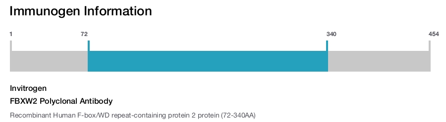 FBXW2 Polyclonal Antibody