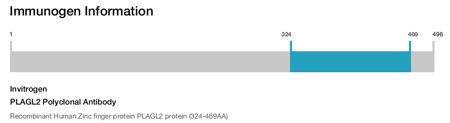 PLAGL2 Polyclonal Antibody