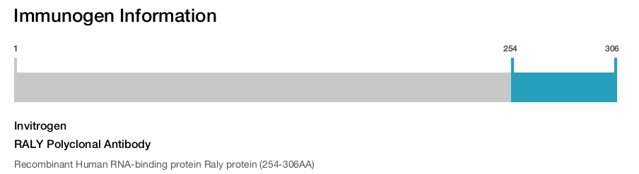RALY Polyclonal Antibody
